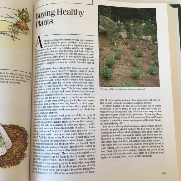 Treasury of Gardening Annuals, Perennials, Vegetables & Herbs, Landscape Design - Picture 9 of 9